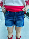 Risen Shorts Dark Wash
