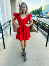 Ruffle Sleeve Mini Dress
