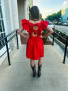 Ruffle Sleeve Mini Dress