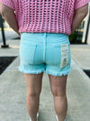 Mint Risen Shorts