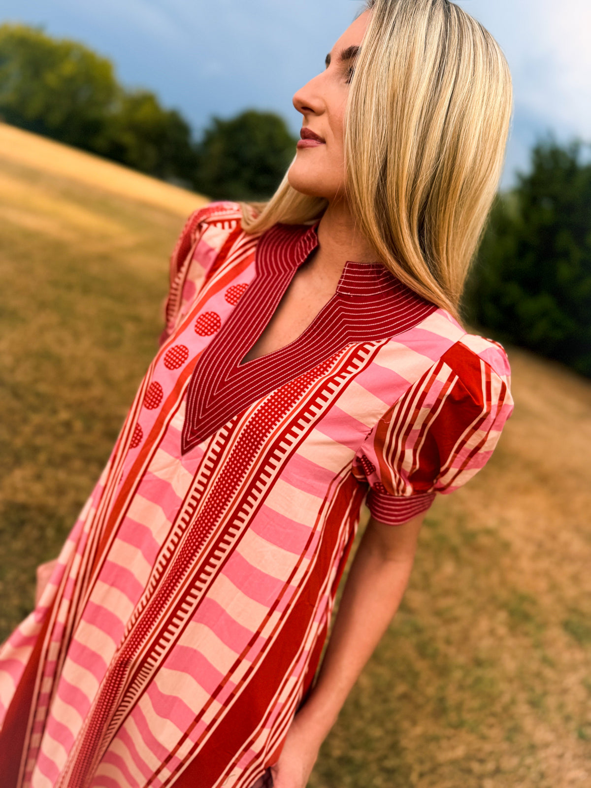 Brown & Pink Entro Maxi Dress