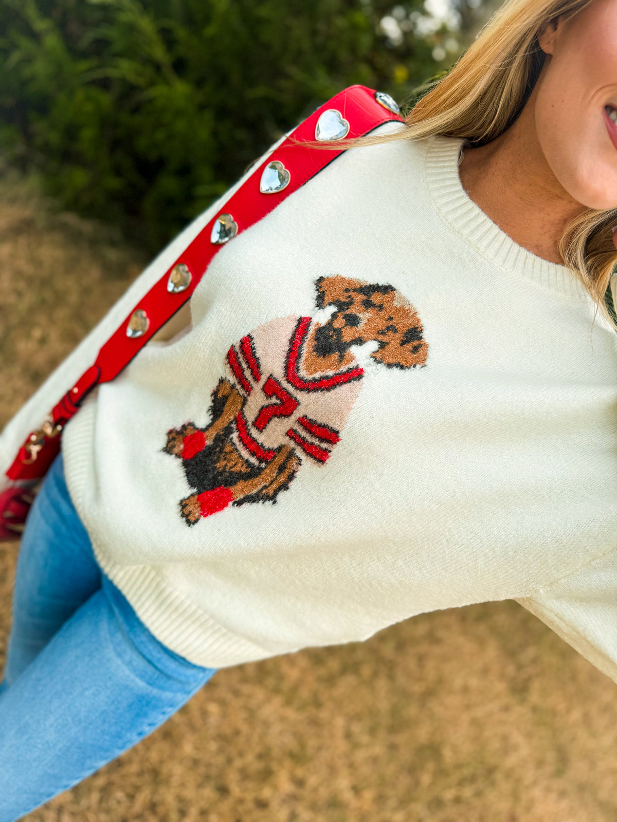 Gameday Dog Sweater