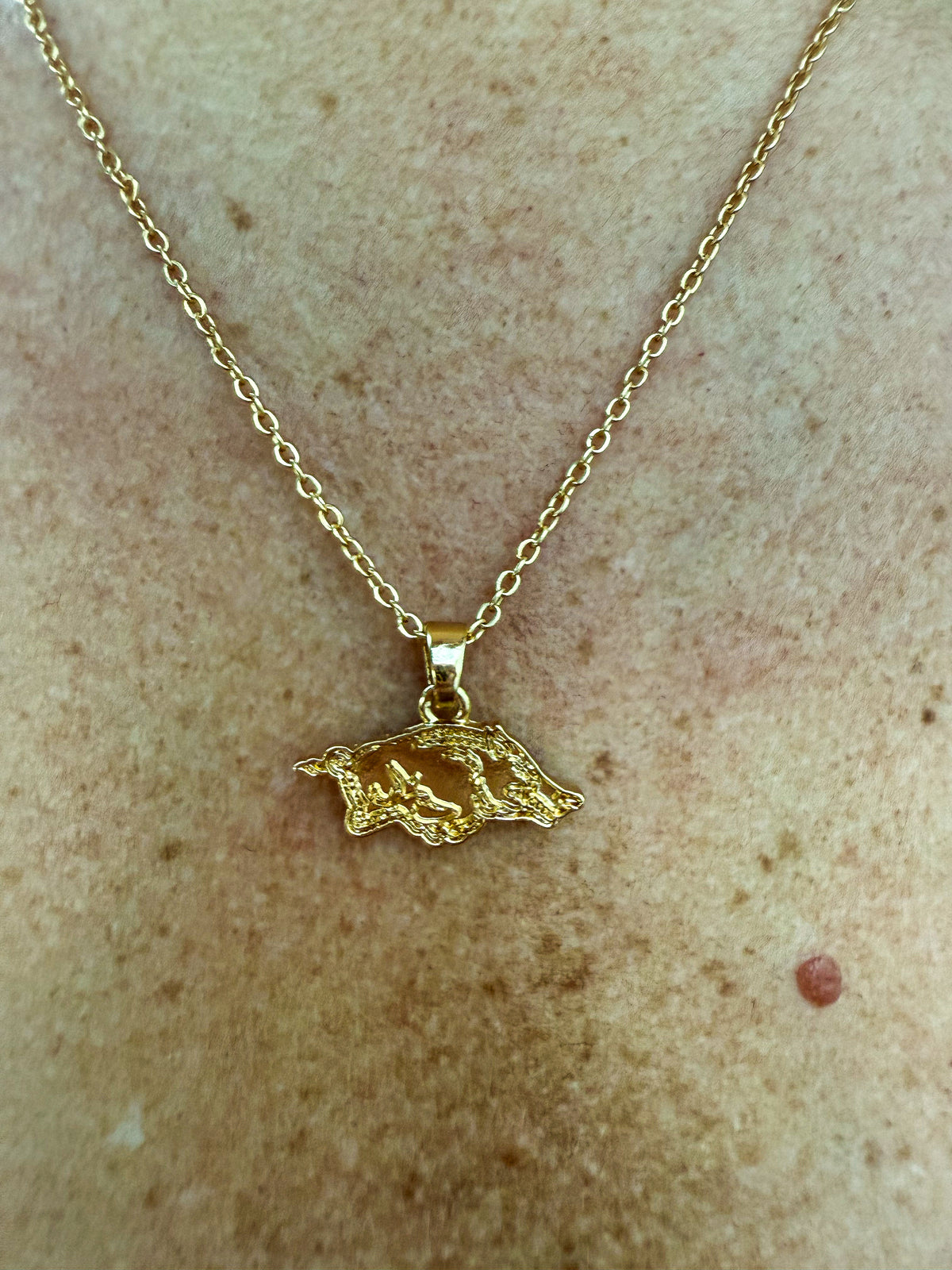 Arkansas Razorback 24K Gold Necklace