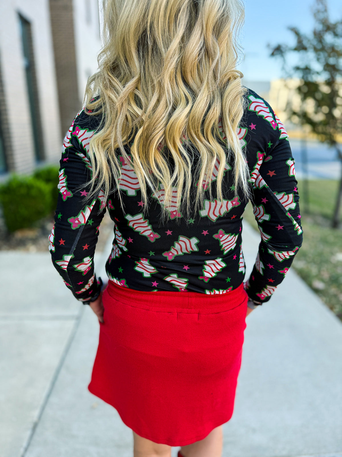 Christmas Tree Cake Mesh Top