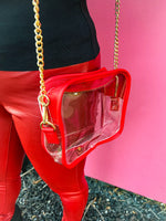 Clear Stadium Bags